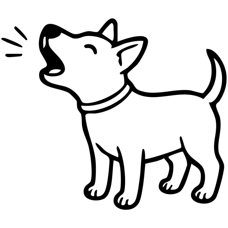 Dogs