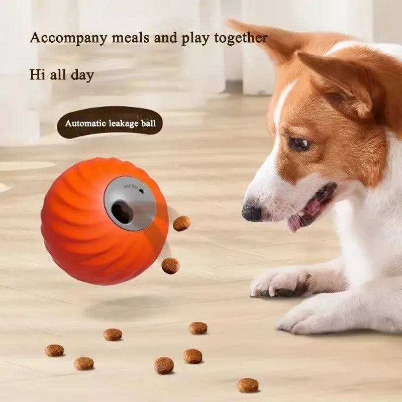 activepet™ toy -  2-in-1 electric ball for dogs and cats