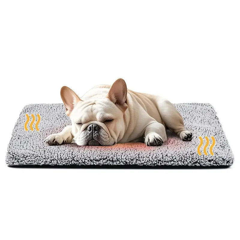 cozynest™ - thermal pet blanket