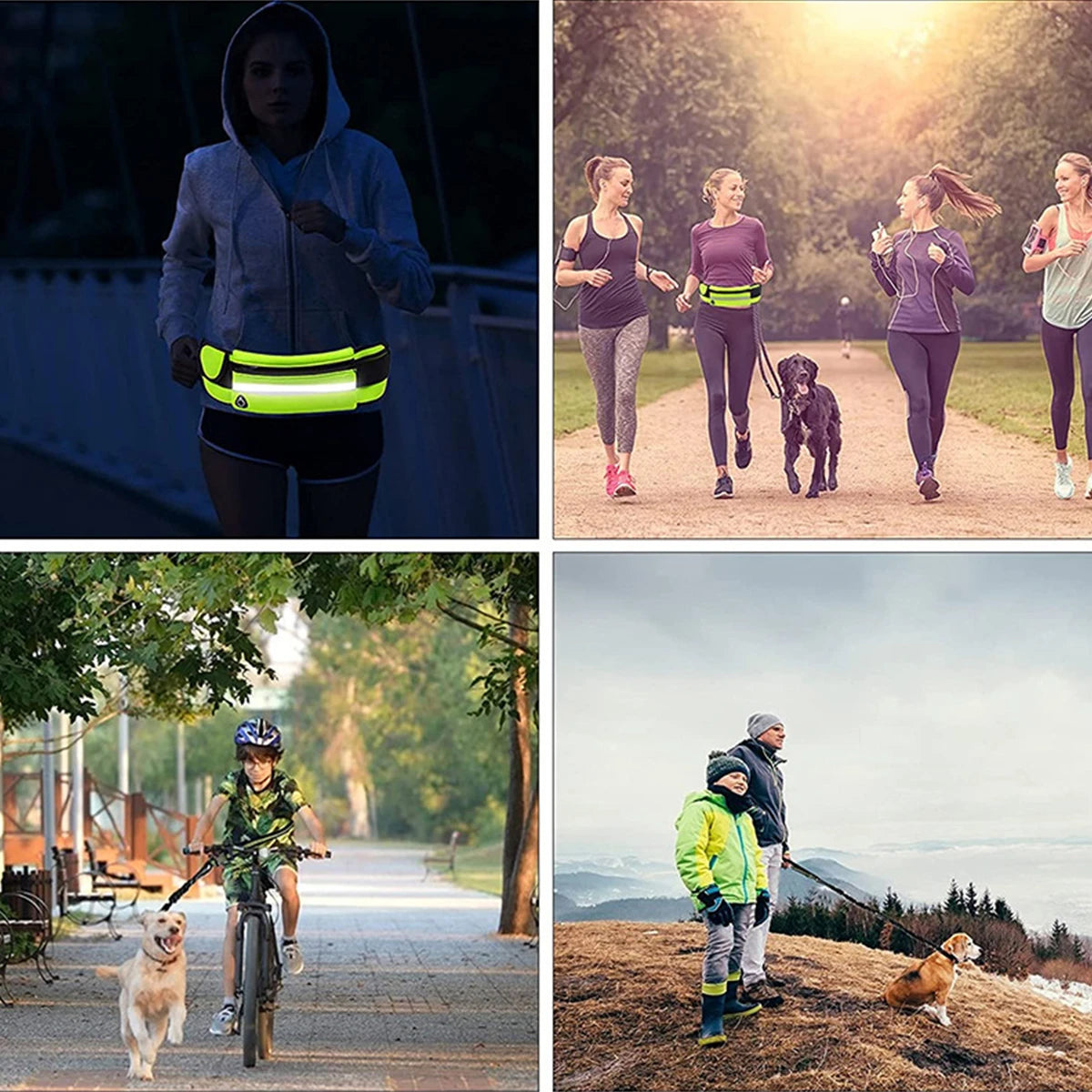 activewalk™ - bungee dog leash