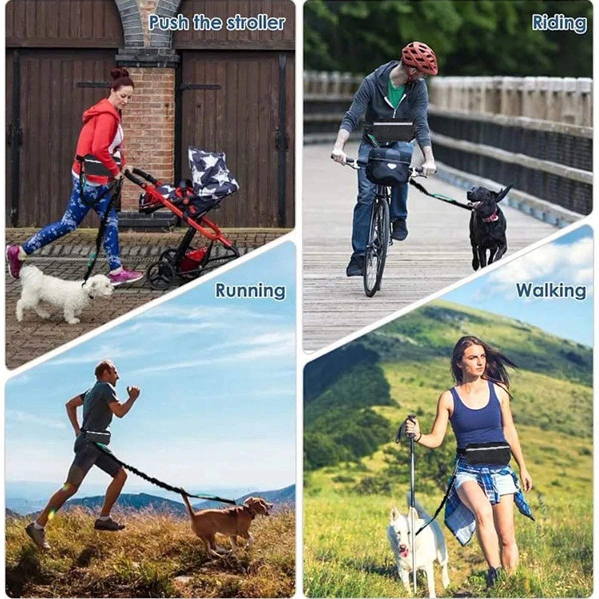 activewalk™ - bungee dog leash