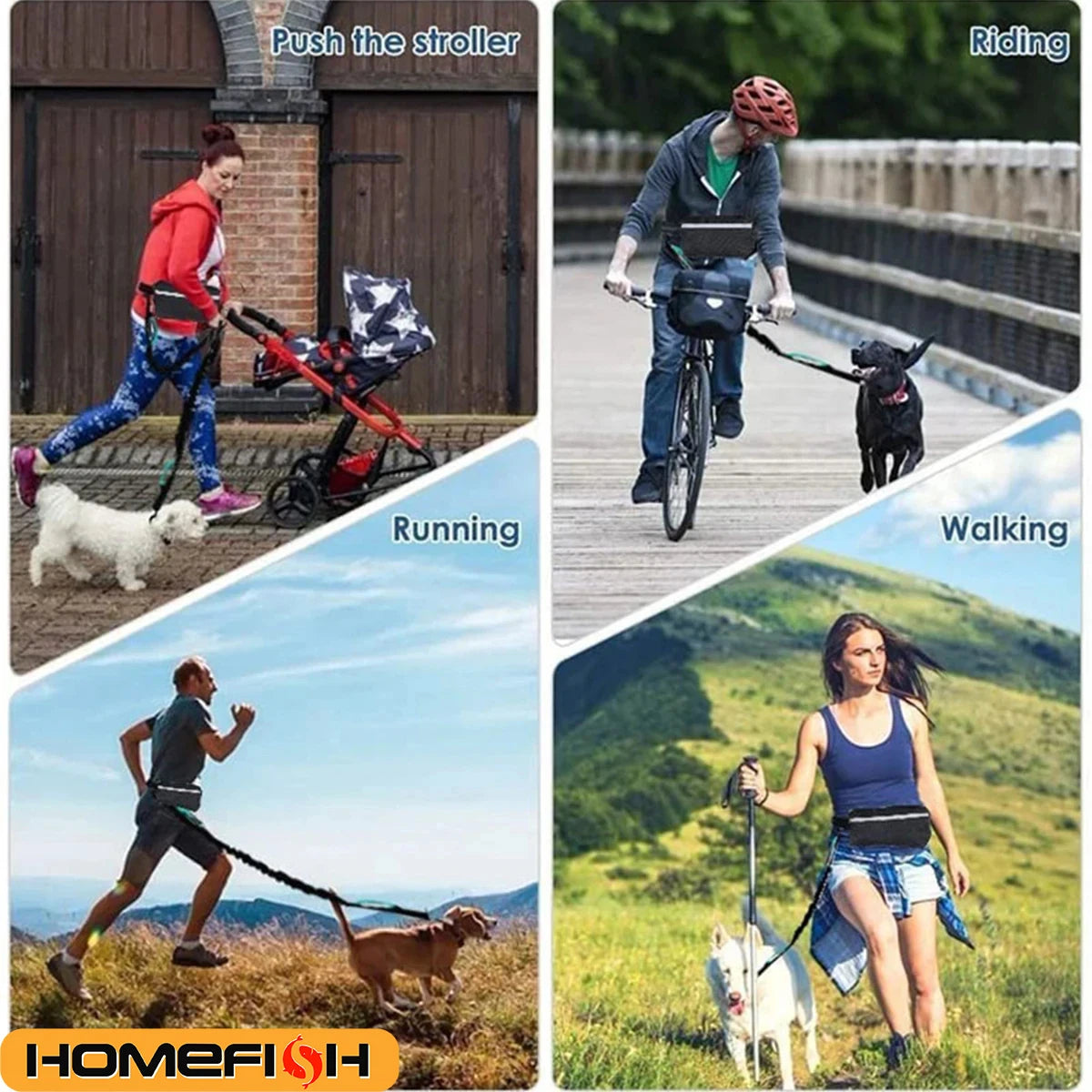 activewalk™ - bungee dog leash