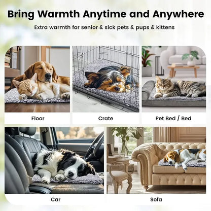 CozyNest™ - Thermal Pet Blanket