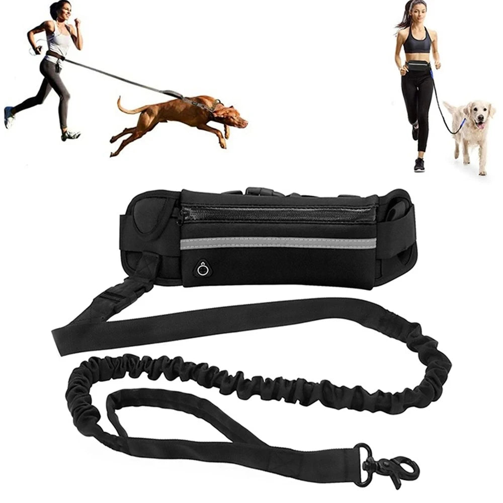 activewalk™ - bungee dog leash