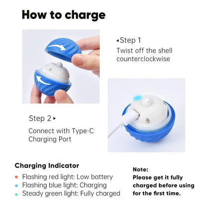 ActivePet™ Toy -  2-in-1 electric ball for dogs and cats