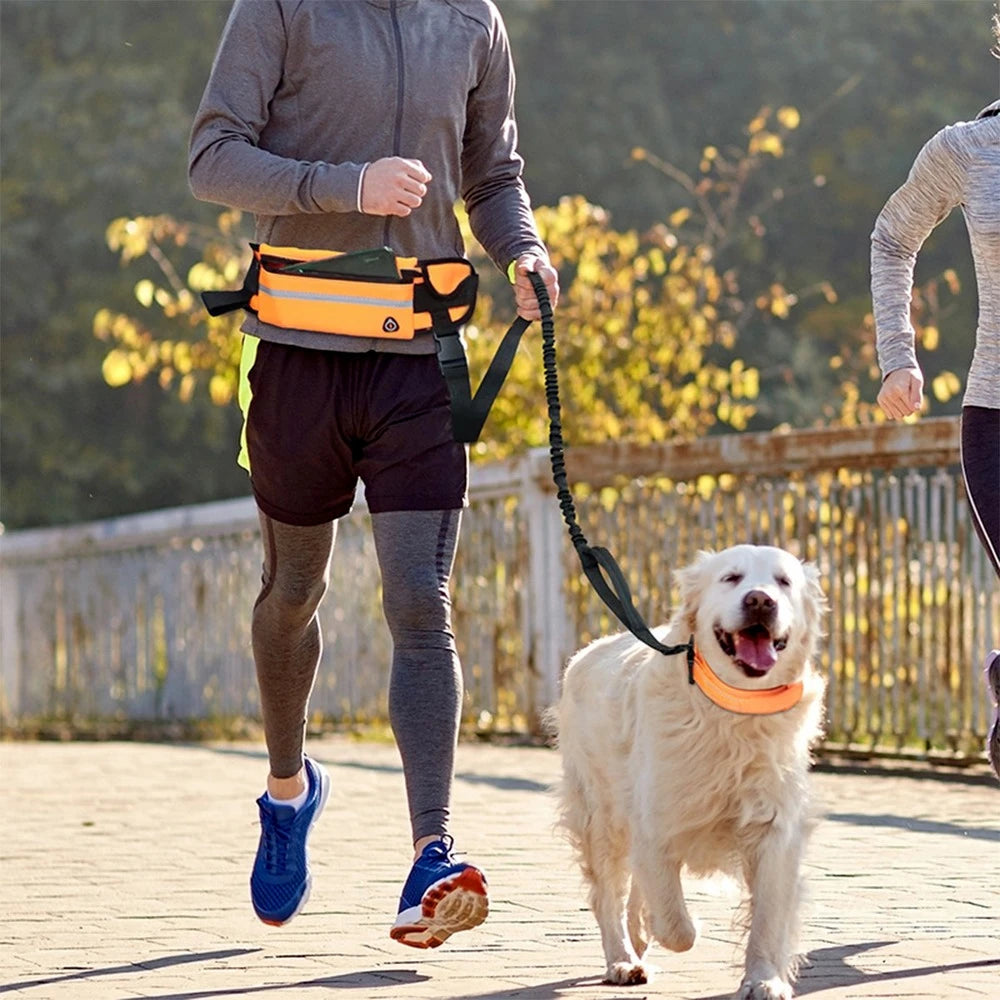 activewalk™ - bungee dog leash