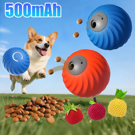 ActivePet™ Toy -  2-in-1 electric ball for dogs and cats