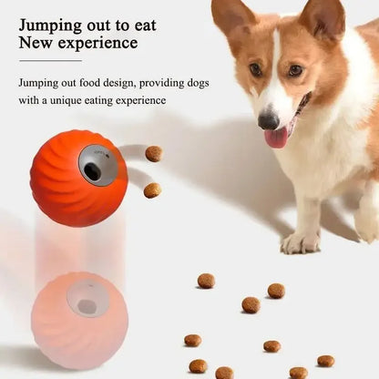 ActivePet™ Toy -  2-in-1 electric ball for dogs and cats
